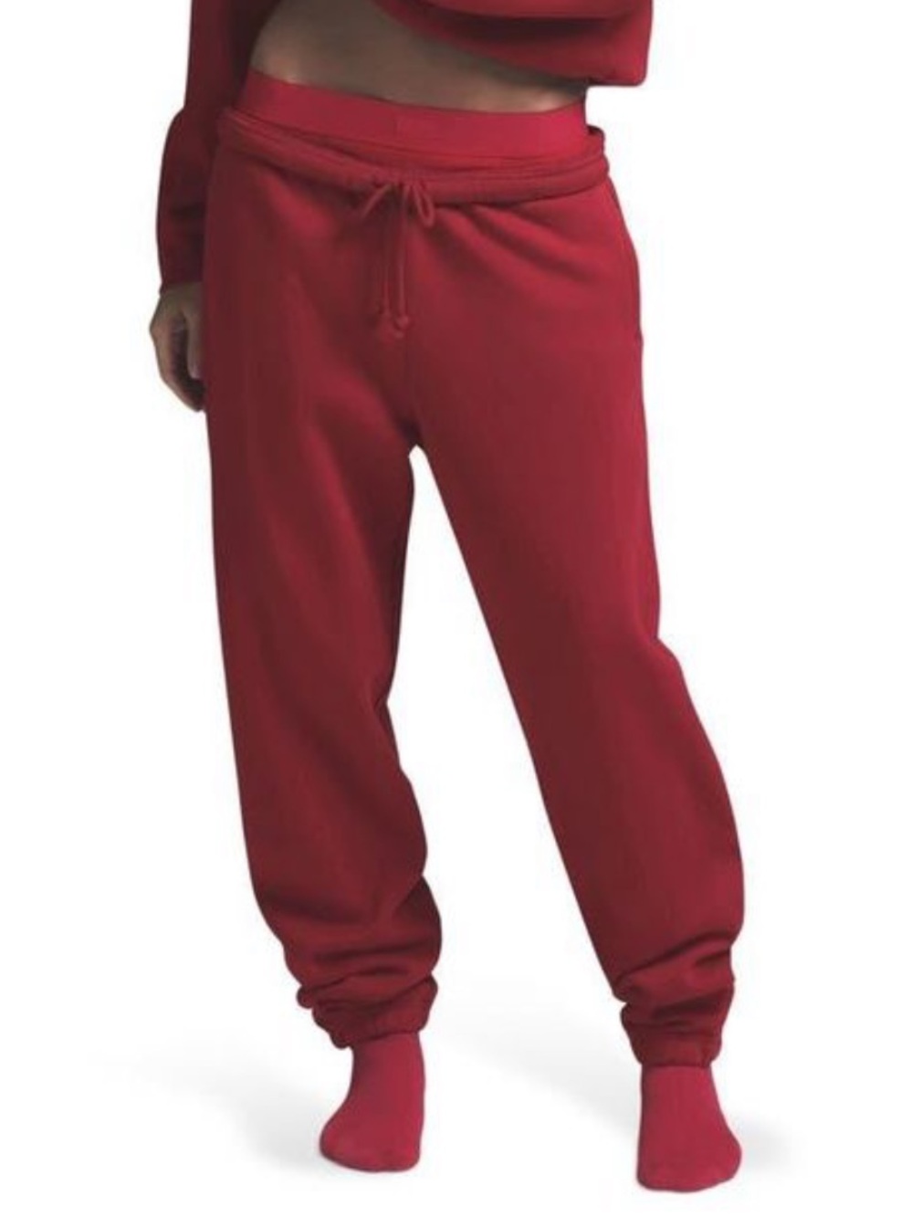 Skims Cotton Fleece Jogger in Brick